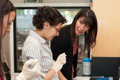 A committee of MIT faculty and staff, along with representatives from the new Woodrow Wilson Academy of Teaching and Learning, selected three proposals to fund.