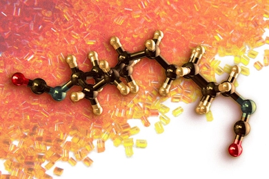 Polymers, or long chains of repeating molecules, are found in many objects that we encounter every day, including anything made of plastic or rubber. In many materials, however, a significant fraction of these chains bind to themselves, forming defects.