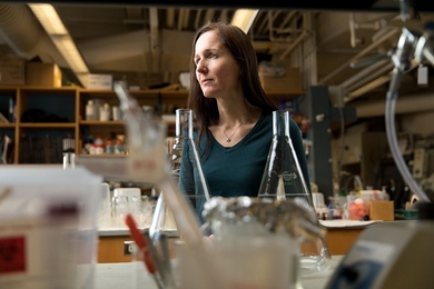 “Understanding how our innate immune system works is important for thinking about the development of new ways to treat infectious disease,” says MIT associate professor of chemistry Elizabeth Nolan.
