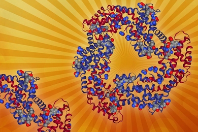 This photosynthetic antenna consists of several pigments, which collect light energy, and their associated proteins.
