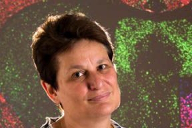 Harvard University neurobiologist Catherine Dulac will receive the 2017 Scolnick Prize in Neuroscience, awarded by the McGovern Institute at MIT.