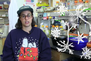 Hannah Iaccarino PhD '16 answers a question about brain cells for Ask MIT, part of MIT+K12 Videos. 