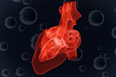 Graduate student Anthony McDougal has developed a model that predicts a single heart cell’s response to dwindling supplies of oxygen.
