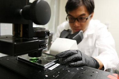 A new technique for imaging biopsy samples relies on an approach known as expansion microscopy, in which the researchers expand a tissue sample to 100 times its original volume before imaging it.
