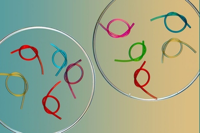 MIT engineers have designed a gel-like material that can be coated onto standard plastic or rubber devices, providing a softer, more slippery exterior that can significantly ease a patient’s discomfort during surgery.
