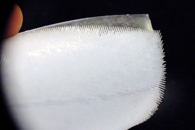 Engineers at MIT can predict how beds of tiny, soft hair, such as those that line surfaces inside the human body, will bend in response to fluid flow.