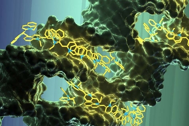 By organizing pigments on a DNA scaffold, an MIT-led team of researchers has designed a light-harvesting material that closely mimics the structure of naturally occurring photosynthetic structures. 
