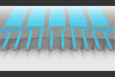 Cells pass through an sSMR device, which consists of multiple sensors that are fluidically connected in series and separated by delay channels (not all is shown). This design enables a stream of cells to flow through the device such that different sensors can concurrently weigh flowing cells in the stream.


