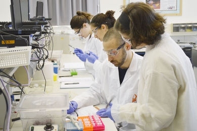 A new special subject, 1.S992 (Agricultural Microbial Ecology) from the Department of Civil and Environmental Engineering, took a group of undergraduate students to Israel over MIT’s Independent Activities Period to learn cutting-edge techniques used to study microbial communities.