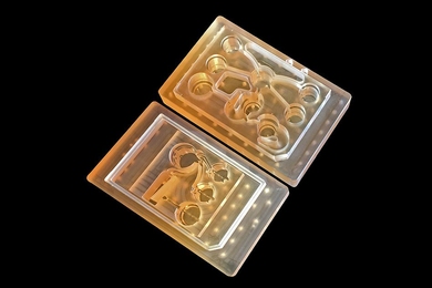 MIT engineers have designed a microfluidic platform that connects engineered tissue from up to 10 organs, allowing them to replicate human-organ interactions.