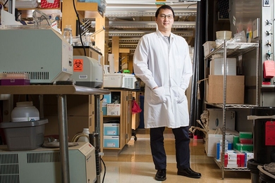 Timothy Lu's early interest in computer programming was inspired by his father, who worked as an electrical engineer at IBM.