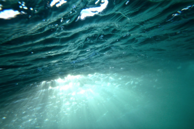 New MIT research describes how marine microorganisms contribute to a layer of nitrite just below the ocean's sunlit zone.
