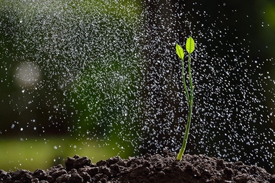 Seven new projects focusing on solutions to water and food systems challenges, led by 11 faculty principal investigators across five MIT departments, will be funded by the Abdul Latif Jameel World Water and Food Security Lab (J-WAFS) with two-year grants of up to $200,000.