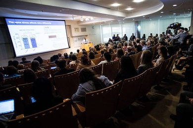 Ravi Raju, a Picower Clinical Research Fellow, explains how gene expression differs as mice respond to circumstances modeling poverty.