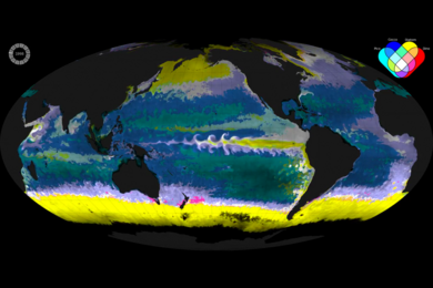 A computer simulation shows ecological provinces of the marine global ecosystems developed in the Follows Group at MIT. Each color represents a different combination of the most dominant phytoplankton function types (as shown in the Venn diagram at top right). Opacity indicates the total concentration of phytoplankton biomass: The darker the color, the less phytoplankton.