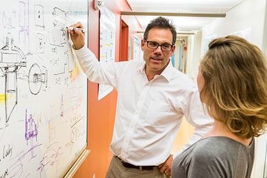 Michale Fee studies how the brain learns and generates complex sequential behaviors, with a focus on the songbird as a model system. 