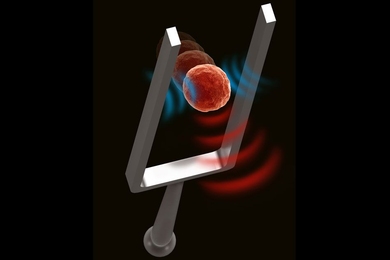 MIT researchers have come up with a way to use acoustic waves to noninvasively measure the stiffness of living cells.