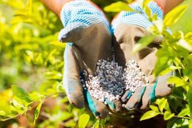  For tropical growing regions in Brazil and some countries in Africa, differing soil and rock compositions make for a poor match for the fertilizers that are currently on the market. J-WAFS-funded MIT researchers seek to meet this challenge with a new type of fertilizer, and call for more interdisciplinary research to help close yield gaps.  