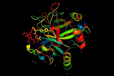 A new model developed by MIT researchers creates richer, more easily computable representations of how individual amino acids determine a protein’s function, which could be used for designing and testing new proteins.