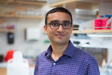 Whitehead Institute member and MIT assistant professor of biology Ankur Jain