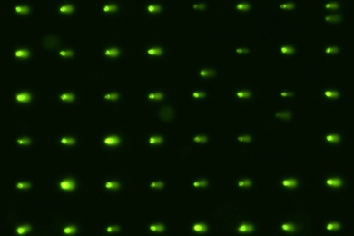 MIT chemists have devised a way to observe the transition state of the chemical reaction that occurs when vinyl cyanide is broken apart by an ultraviolet laser.