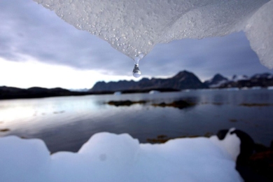 The MIT Joint Program on the Science and Policy of Global Change engaged dozens of decision-makers in the financial sector and industry in a two-hour Zoom discussion on climate-related financial risk.