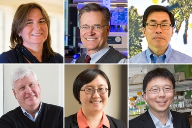 Clockwise from upper left: Angela Belcher, Bruce Walker, Jianzhu Chen, Feng Zhang, Siqi Zheng, and Lee Gehrke