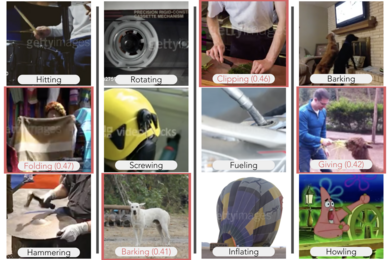 Four-by-three grid of images showing people, animals, and objects doing simple actions