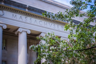 Photo of a flowering tree on the MIT campus, with the Great Dome in the background