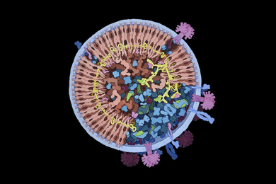 Illustration of what looks like the inside of a cell, with folded and twisted blobs representing proteins within the cell and flower-like "spike" proteins protruding from the outside of the cell