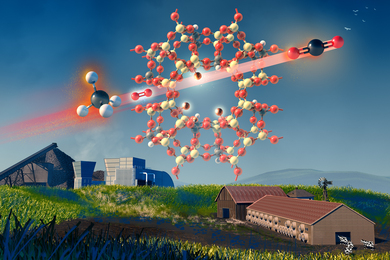 zeolite absorbs methane