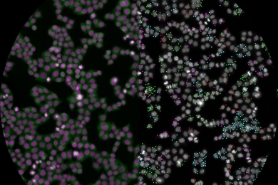 Sphere of dots, one side purple and blurry, right side gray and in-focus