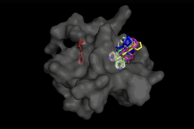 A large, 3D gray mass binding to smaller molecules in various colors in one spot on the right side.