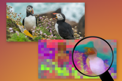 Photo illustration: At left, a photo of two puffins on a grassy cliff. At right is a heavily pixelated version of the photo, with a magnifying glass showing one of the puffins not pixelated but blurred. The pixelated/zoomed in area is in a mix of bright colors.
