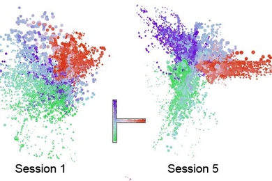 Two arrays of colorful dots sit side by side. The one on the left is in a vaguely circular shape. The one on the right has a structure that looks like a capital Y or T that has fallen to its left.