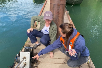 Sara Beery and another researcher crouch in front of a sonar camera system on a river dock