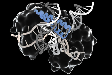 Structural image of protein working on a strand of DNA