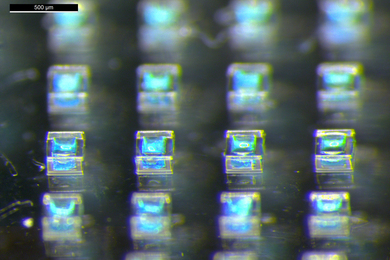 Very tiny translucent boxes with light blue material inside.