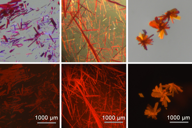 Six microscopic images of red-tinted crystals.