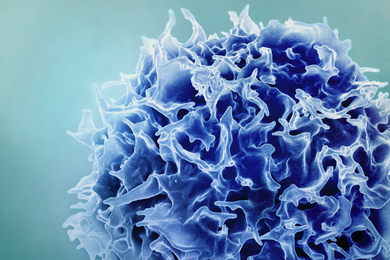 A cell with fluffy and round structure