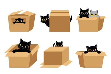 6 cartoon illustrations of cats in various interactions with a cardboard box.