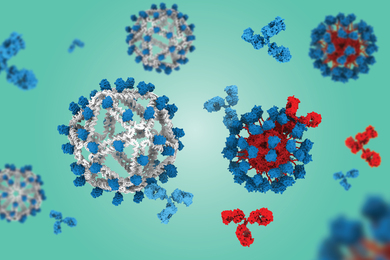 Two hollow spheres of DNA, left, and protein, right, that are covered in bits of HIV antigen.